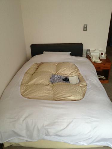 Hirosaki Ekimae Hotel