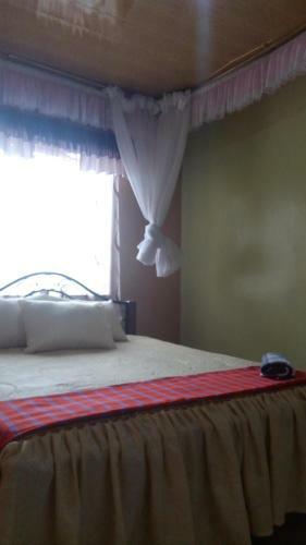 Hostal Palm Nest - Near Jkia