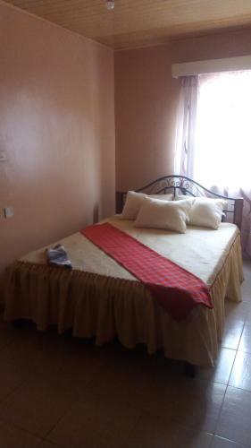 Hostal Palm Nest - Near Jkia