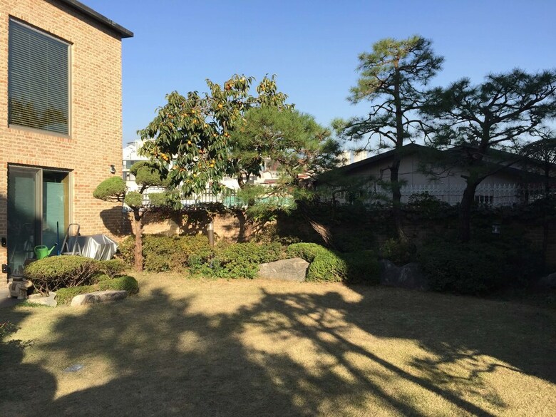 Hostal Puzzlestay House