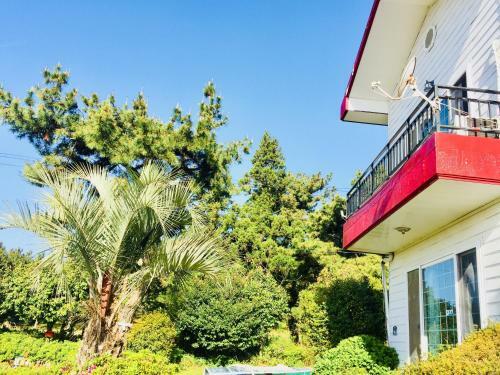 The Jeju Red Roof Pension