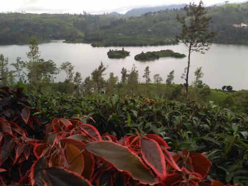 Hotel Dam House (near Adams Peak)
