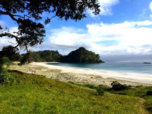Bed & Breakfast Medlands Beach Lodge