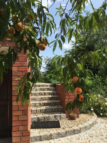 Agroturismo W Starym Sadzie