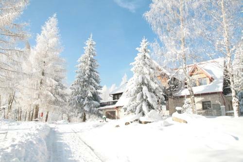 Bed & Breakfast Czajka