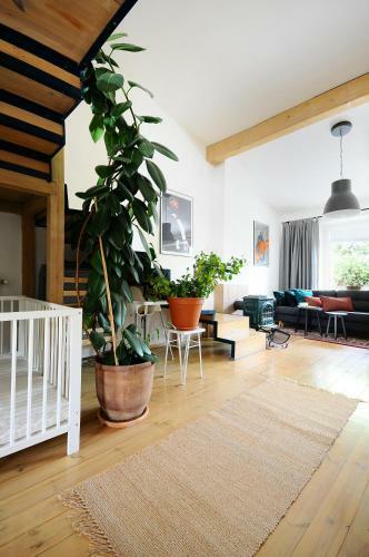 A Place Like Home Apartamenty Wiewiorcza