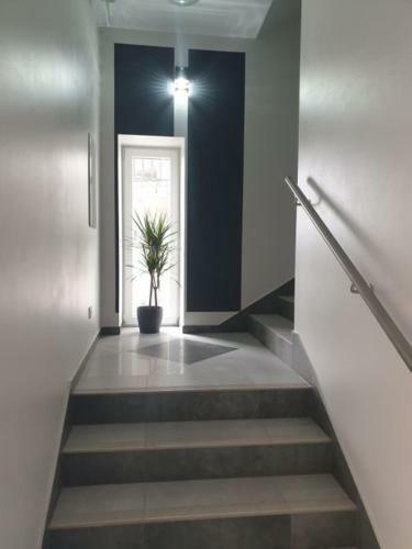 Hostal Greys
