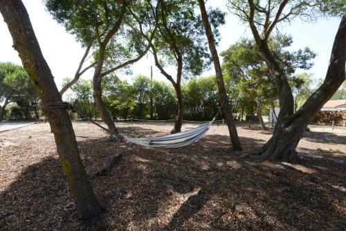 Agroturismo O Monte Das Flores