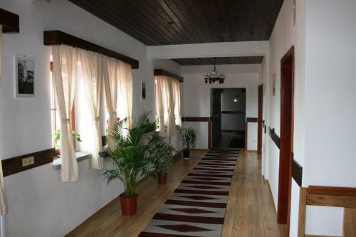 Hostal Pensiunea Tulipan