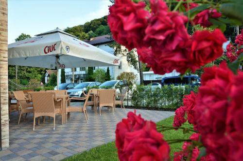 Hostal Pensiunea Ewe