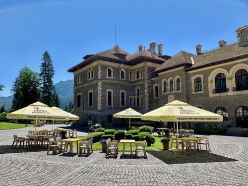 Villa Vila Castel Cantacuzino