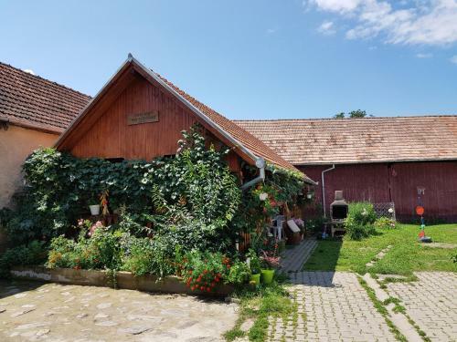 Hostal Pensiunea Ana-dragusana