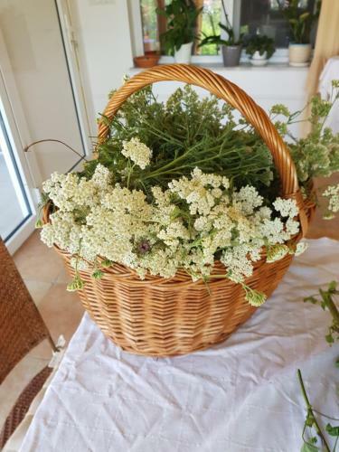 Agroturismo Konaciste Svedrana