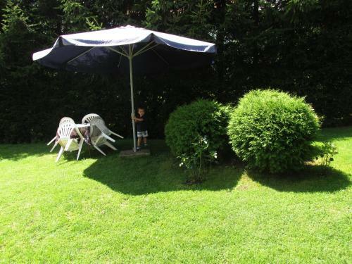 Apartments Bojana