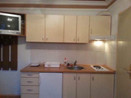 Apartamentos Vila Stojkovic Zlatibor