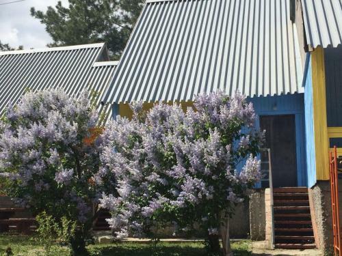 Hotel Baza Otdykha Chaika