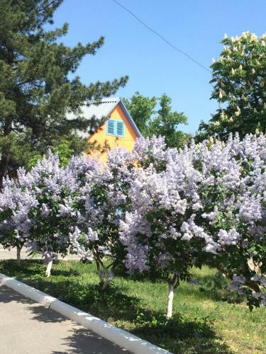 Hotel Baza Otdykha Chaika