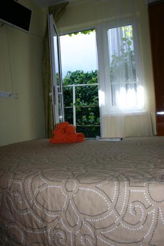 Hostal Mont