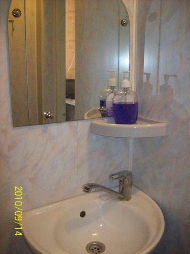 Hotel Lebed