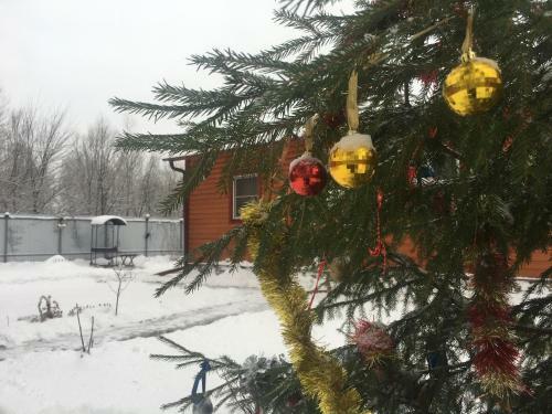 Posada Ramanov Plyos Guest House