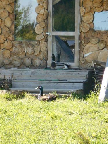 Mishkina Skazka Holiday Home