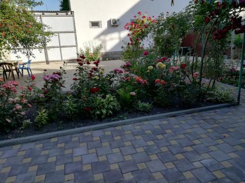 Hostal Guest House Nika