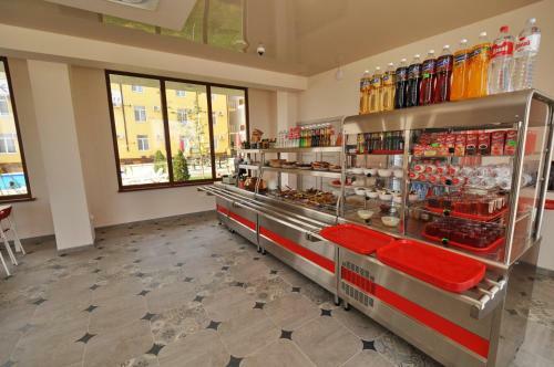 Hotel Guest House Anesti