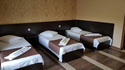 Hotel Novyi Zamok