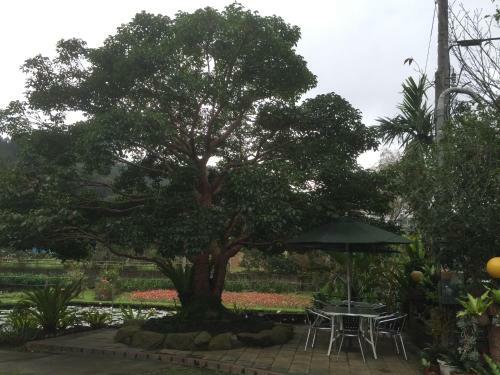 Yu Ho Yuan Lesiure Homestay
