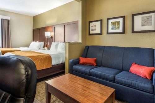 Hotel Comfort Suites At The University