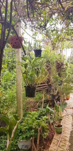 Family Homestay