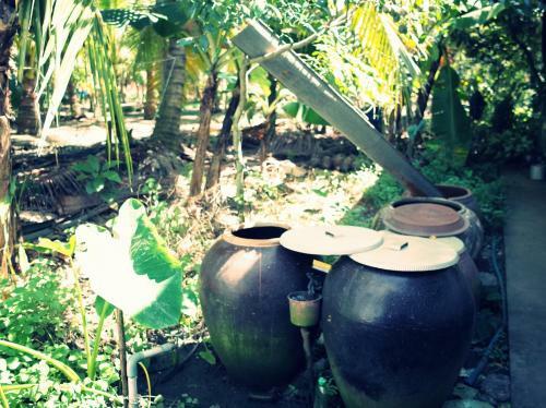 Mini Mekong Homestay In Ben Tre