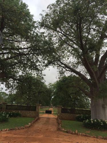 Bed & Breakfast Baobab Lane Lodge