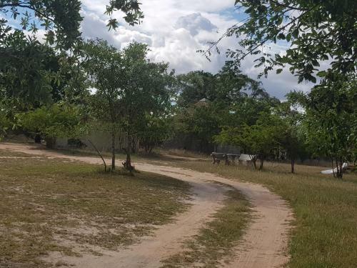Endhawini Nature Lodge