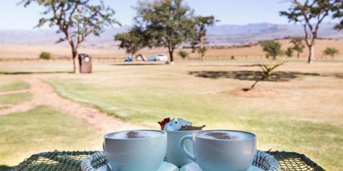 Albergue Amphitheatre Backpackers Lodge