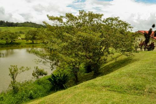 Hotel Termales Del Bosque