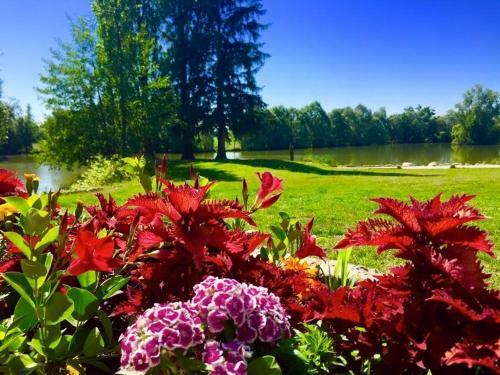 Bed & Breakfast Le Domaine De Charlyne