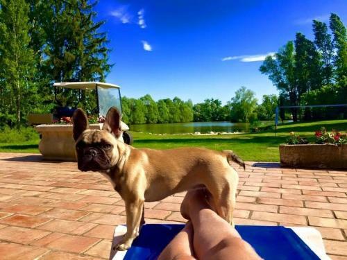 Bed & Breakfast Le Domaine De Charlyne