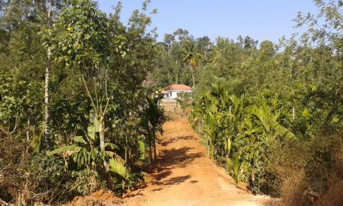 The Misty Guest House In Coorg