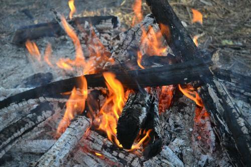 Mahadeva Camps Shangarh
