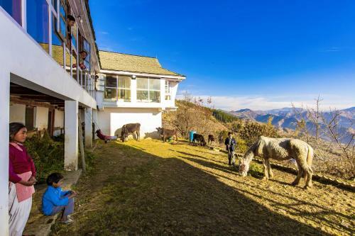 Zostel Homes Cheog (shimla)