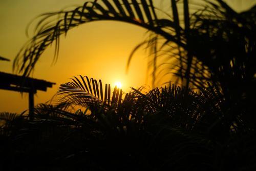 Hotel Zeal Tadoba Resort