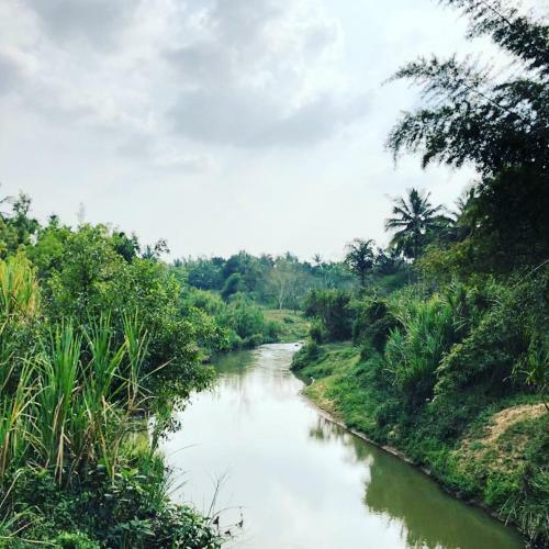 Swastha Plantation Homestay