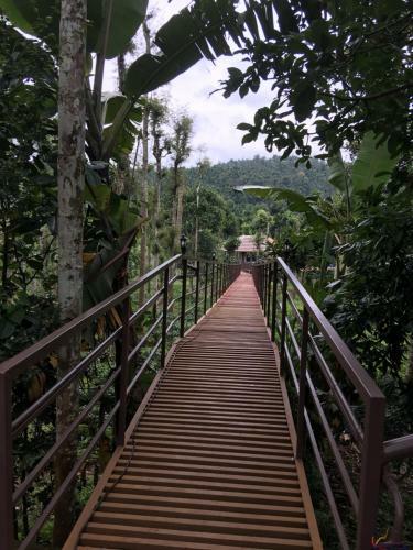Agroturismo Harmony Farm Wayanad