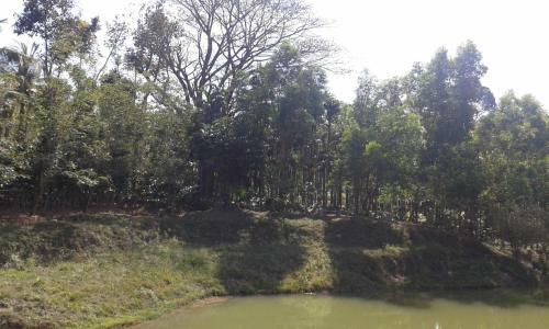 Deluxe Room Stay - Coorg Guest House