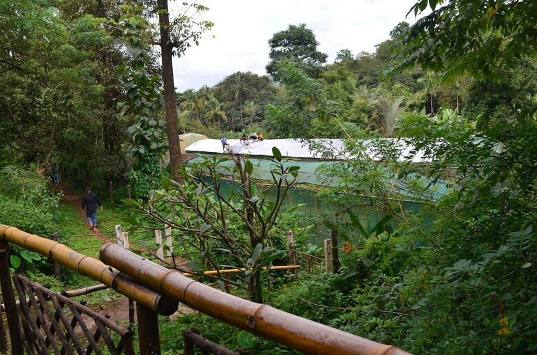 Hostal Mangaal Farmstay Goa