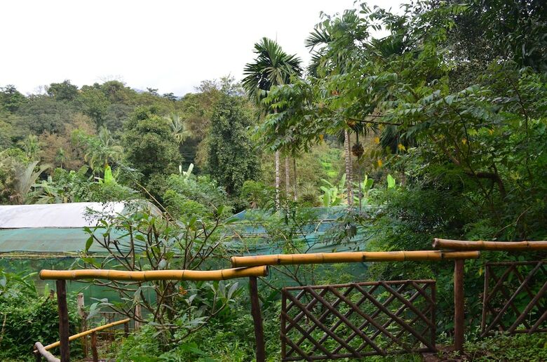 Hostal Mangaal Farmstay Goa
