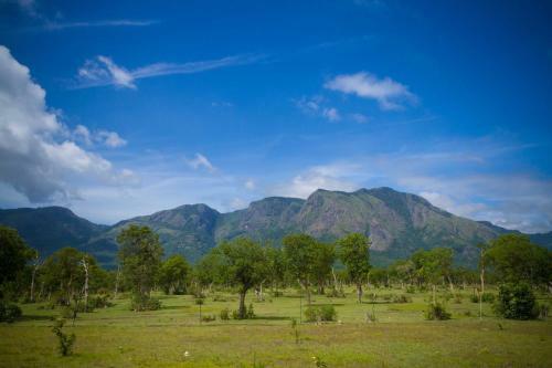 Bed & Breakfast Labdhi Resorts