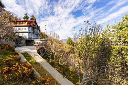 Villa Zostel Homes Kotgarh (shimla)