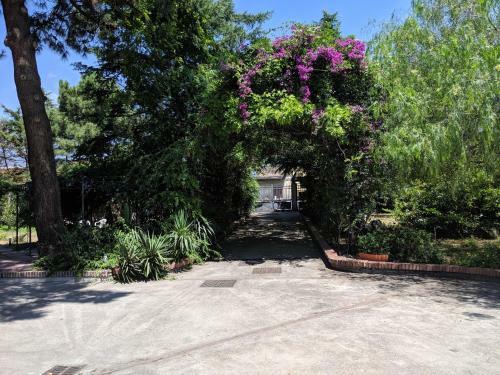 Hostal Villa Belvedere